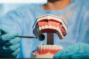 un dental médico vistiendo azul guantes y un máscara sostiene un dental modelo de el Superior y inferior mandíbulas y un dental espejo foto