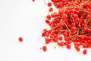 red currants on a white background photo