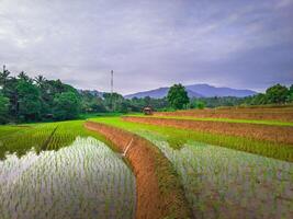 beautiful morning view from Indonesia of mountains and tropical forest photo