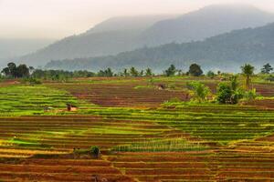 beautiful morning view from Indonesia of mountains and tropical forest photo