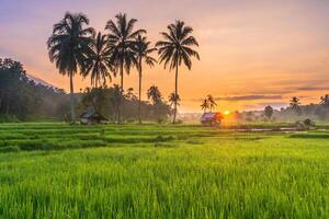 hermosa Mañana ver desde Indonesia de montañas y tropical bosque foto