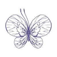 Delicate butterfly with patterns on the wings, simple, sweet, light, romantic. Illustration graphically hand-drawn in lilac ink in line style. Isolated EPS vector object