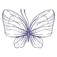 delicado mariposa con patrones en el alas, simple, dulce, luz, romántico. ilustración gráficamente dibujado a mano en lila tinta en línea estilo. aislado eps vector objeto