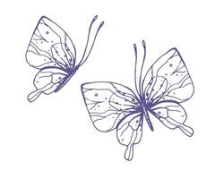 Delicate butterflies with patterns on the wings, simple, sweet, light, romantic. Illustration graphically hand-drawn in lilac ink in line style. Set of isolated EPS vector objects