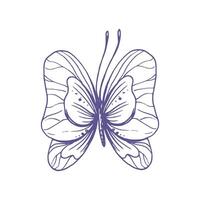 delicado mariposa con patrones en el alas, simple, dulce, luz, romántico. ilustración gráficamente dibujado a mano en lila tinta en línea estilo. aislado eps vector objeto