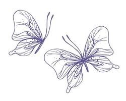 delicado mariposas con patrones en el alas, simple, dulce, luz, romántico. ilustración gráficamente dibujado a mano en lila tinta en línea estilo. conjunto de aislado eps vector objetos