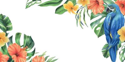 tropical palma hojas, monstera y flores de plumería, hibisco, brillante jugoso con azul amarillo guacamayo loro. mano dibujado acuarela botánico ilustración. modelo marco aislado desde el antecedentes vector