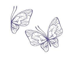 delicado mariposas con patrones en el alas, simple, dulce, luz, romántico. ilustración gráficamente dibujado a mano en lila tinta en línea estilo. conjunto de aislado eps vector objetos