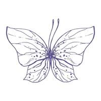 delicado mariposa con patrones en el alas, simple, dulce, luz, romántico. ilustración gráficamente dibujado a mano en lila tinta en línea estilo. aislado eps vector objeto