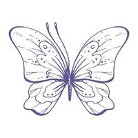 delicado mariposa con patrones en el alas, simple, dulce, luz, romántico. ilustración gráficamente dibujado a mano en lila tinta en línea estilo. aislado eps vector objeto