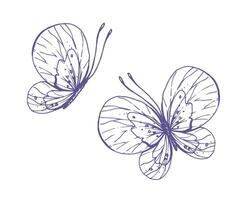 Delicate butterflies with patterns on the wings, simple, sweet, light, romantic. Illustration graphically hand-drawn in lilac ink in line style. Set of isolated EPS vector objects