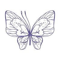 delicado mariposa con patrones en el alas, simple, dulce, luz, romántico. ilustración gráficamente dibujado a mano en lila tinta en línea estilo. aislado eps vector objeto