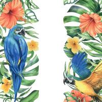 Tropical palm leaves, monstera and flowers of plumeria, hibiscus, bright juicy with blue-yellow macaw parrot. Hand drawn watercolor botanical illustration. Template frame isolated from the background. vector