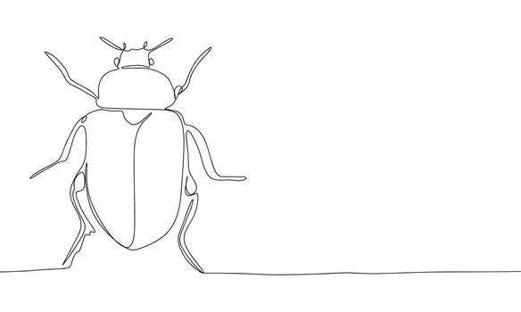 Bug one line continuous. Line art bug isolated on transparent background. Hand drawn vector art.