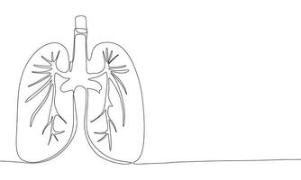 Lungs one line continuous. Line art Lungs isolated on transparent background. Hand drawn vector art.