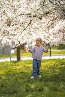 Little girl stands under a blooming apple tree. The wind blows and flower petals fly like snow in Prague park, Europe photo