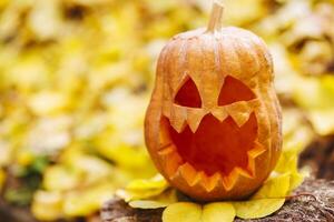 Víspera de Todos los Santos calabaza en tocón en contra amarillo hojas en el parque o bosque en otoño foto