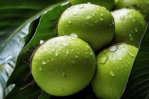 ai generado joven verde Coco frutas en árbol con agua gota. generado por artificial inteligencia foto