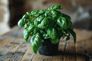 AI generated Fresh juicy basil in a black pot on a wooden surface. Generated by artificial intelligence photo