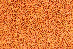 Red lentils background. Top view of red lentils texture. photo