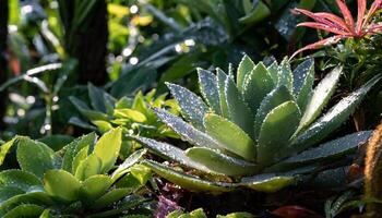 ai generado suculento plantas en selva, y un variedad de botánico jardines foto