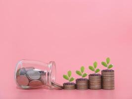 Plants growing up on stack of coins. The concept of saving money, Financial, Investment and Business growing. photo