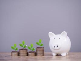 Piggy bank and Plants growing up on stack of coins. The concept of saving money, Financial, Investment and Business growing. photo