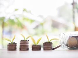 Plants growing up on stack of coins. The concept of saving money, Financial, Investment and Business growing. photo