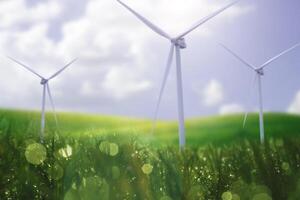green grass and turbine on blue sky background photo