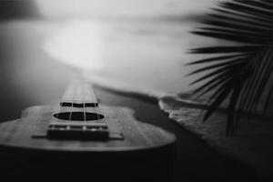 Ukulele on beach at sunset back and white photo