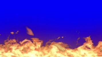 Fire flame background loop animation on chroma key blue screen video