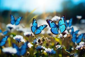 AI generated Blue butterflies fly over a field against a blue sky. Generated by artificial intelligence photo