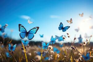 ai generado azul mariposas aleteo terminado el campo. generado por artificial inteligencia foto