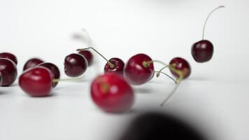 Slow motion cherry fruit on white background video