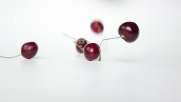 långsam rörelse körsbär frukt på vit bakgrund video