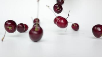 Slow motion cherry fruit on white background video