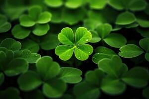 AI generated clover leaf photo