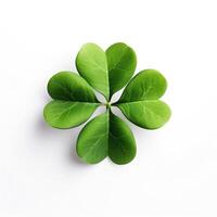 AI generated clover leaf photo