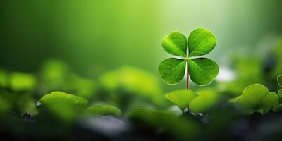 AI generated clover leaf photo