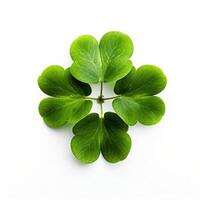 AI generated clover leaf photo