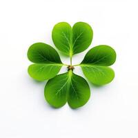 AI generated clover leaf photo