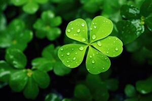 AI generated clover leaf photo