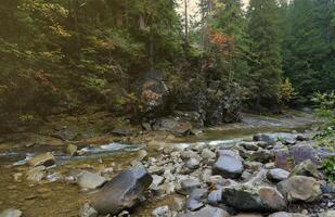 A bright blue river flowing through forest as the sun begins to set in a hidden park along the scenic drive in Hoverla mountains area photo