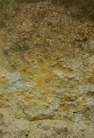 Texture of a wall of solid yellow and brown sand in a sandy quarry photo