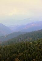 Morning view from the Dragobrat mountain peaks in Carpathian mountains, Ukraine. Cloudy and foggy landscape around Drahobrat Peaks photo
