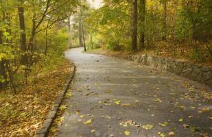 Beautiful Nature Autumn landscape. Scenery view on autumn city park with golden yellow foliage in cloudy day photo