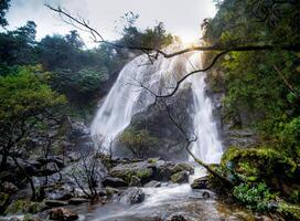 A gorgeous waterfall captured in long exposure, Thailand. photo