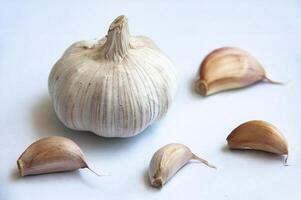 Close up of garlic on white background photo