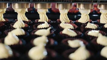 Candy Production Line At The Factory. Making Sweets From Cream Automatically. video