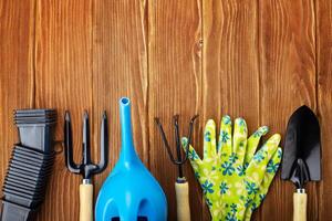 Garden tools on wooden background with space for text top view photo